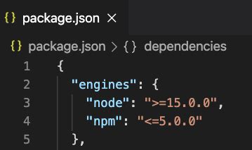 phpstorm How to see the latest version of the package in package.json? Stack Overflow