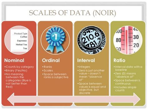 noir data examples