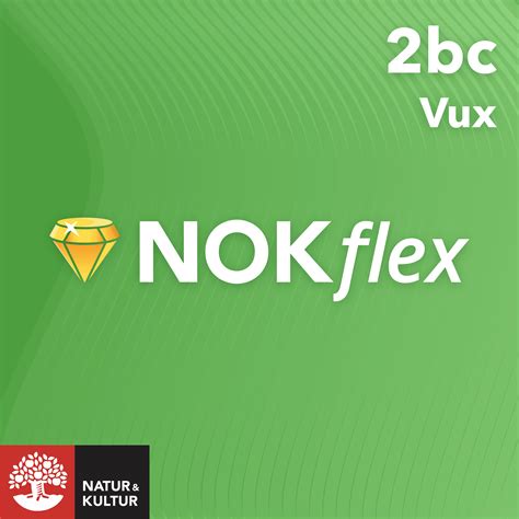 nokflex matematik 2bc
