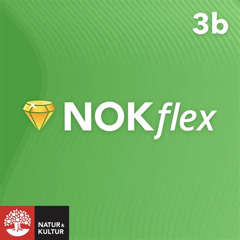 nokflex matematik 5000