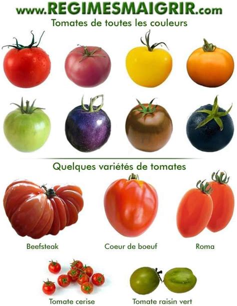 nom scientifique de la tomate
