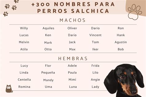 nombre de perro salchicha