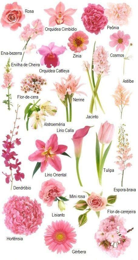 nome de flores para nomes