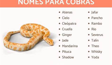 Cobra Nomes: 400 Melhores Nomes Para o Seu Deslizando Sidekick – Meu