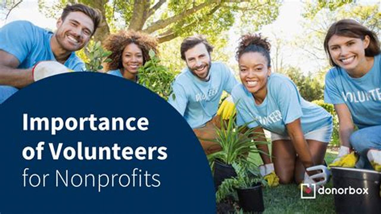 Nonprofit Volunteer Organizations: The Heart of Community Service