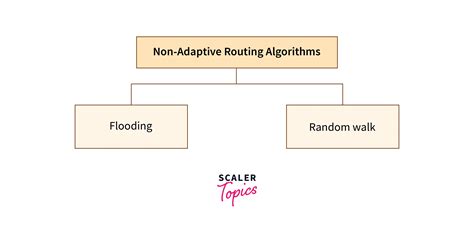 non adaptive routing algorithm example