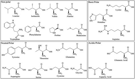 non chiral amino acid