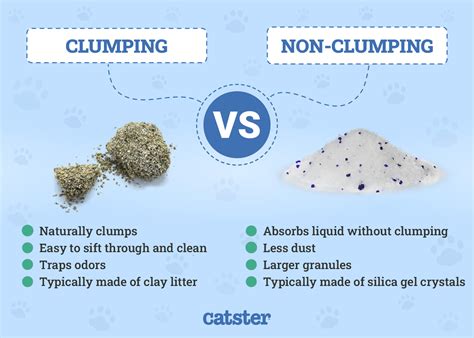 Non Clumping Vs Clumping Litter