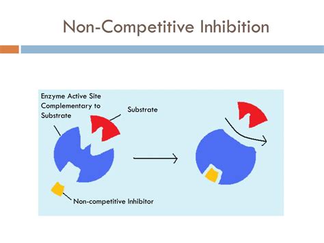 non competitive inhibition example in humans