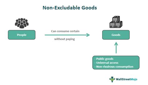 non excludable example