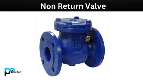Non Return Valve Used In
