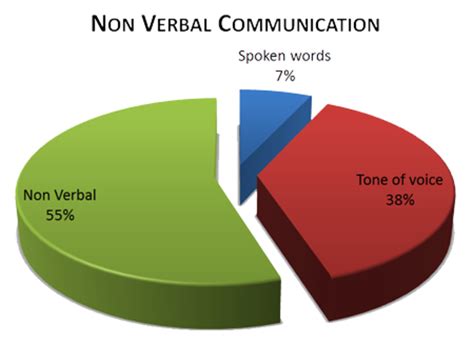 non verbal communication in detail