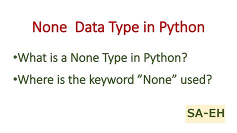 none data type in python example