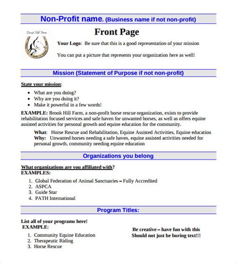 nonprofit business plan template word