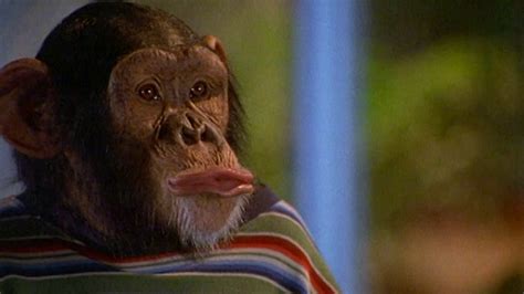 Nonton Most Valuable Primate