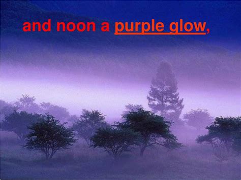 noon a purple glow meaning