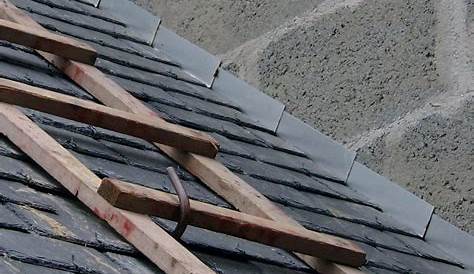 Noquet zinc pour ardoise Revêtements modernes du toit