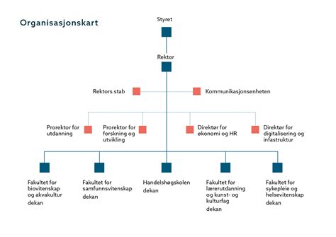 nord universitet organisasjonskart