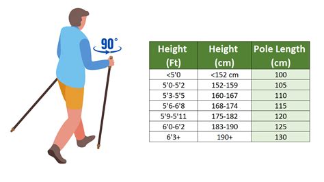 Nordic Pole Sizing