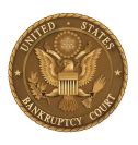 rubyolivedesigns Bankruptcy Court Indianapolis In