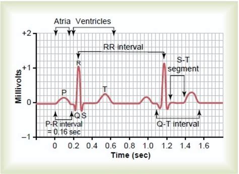 Frontiers Normal Values of Corrected HeartRate Variability in 10