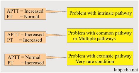 Understanding Normal APTT and PTT: What Do the Results Mean for Your Health?