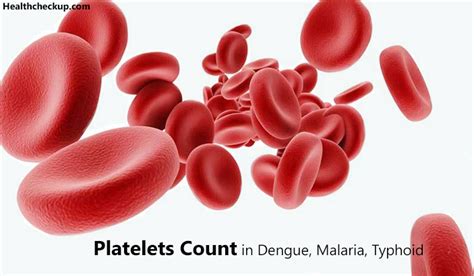 normal blood platelet count dengue