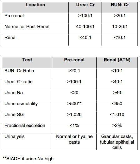 Understanding Normal Creatinine Levels in Urine: What You Need to Know