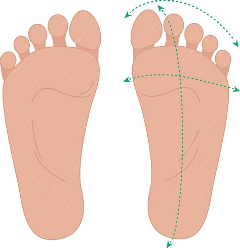 Unlocking the Secrets of Normal Feet: What You Need to Know