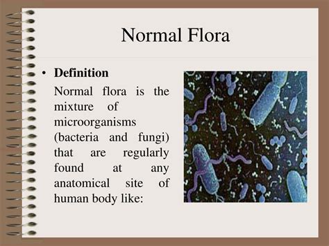 normal flora meaning in tamil with example