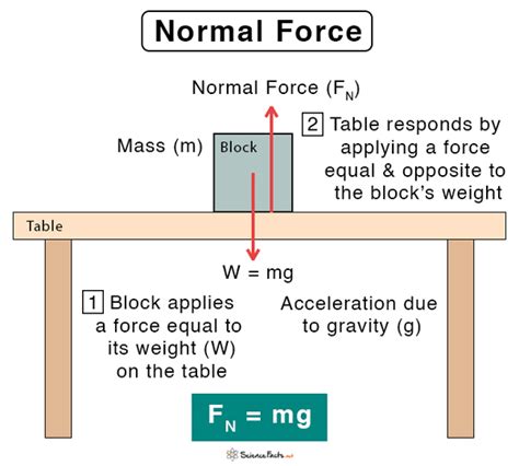 normal force used in a sentence