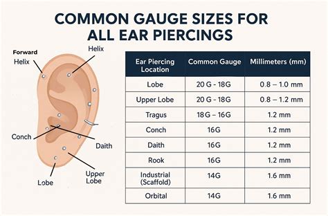Normal Gauge Of Earrings