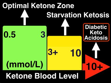 Normal Ketone Levels Mg/Dl