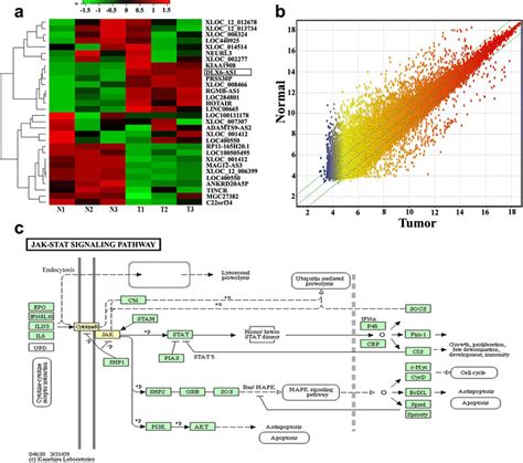normal microarray results