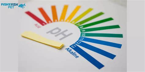 Normal Ph For Betta Fish