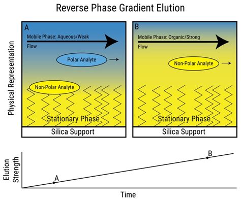 Normal Phase And Reverse Phase Chromatography Difference