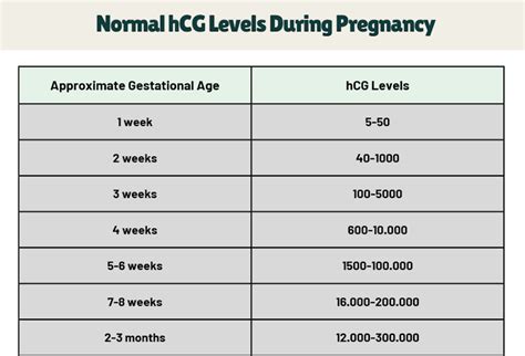 Understanding the Normal Range for hCG Levels During Pregnancy