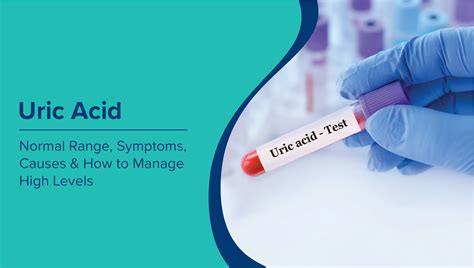 Understanding Your Body's Chemistry: What is the Normal Rate of Uric Acid and Why Does it Matter?