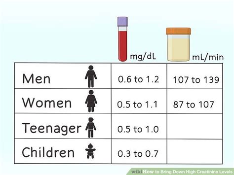 Understanding Normal Urine Creatinine Levels: What You Need to Know