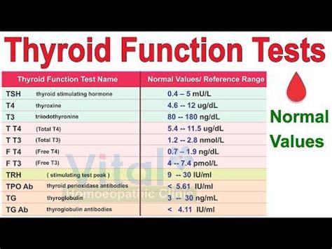 normal value thyroid function test