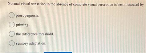Understanding Normal Visual Perception in the Absence of Complete Vision: A Comprehensive Illustration
