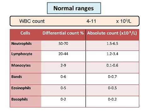 Understanding Your Normal WBC CT Range: What Do the Results Mean for Your Health?
