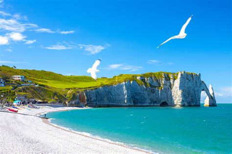 Discover the Secret Scenic Journeys: Normandy Tours from Paris That Will Wow You