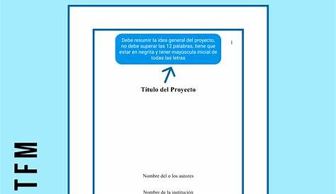 Tesis Con Normas Apa | Constitución | Debido al proceso