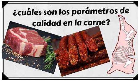 Parametros De Calidad De La Carne De Cerdo - Noticias de Carne