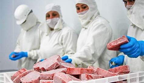Precios cuidados: ¿Cuáles son los valores de la carne? | Crónica