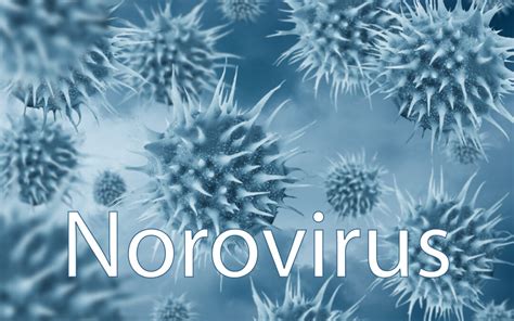 norovirus in new jersey