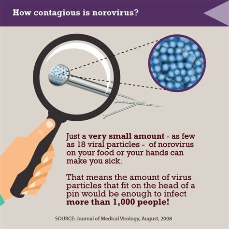 norovirus incubation period cdc