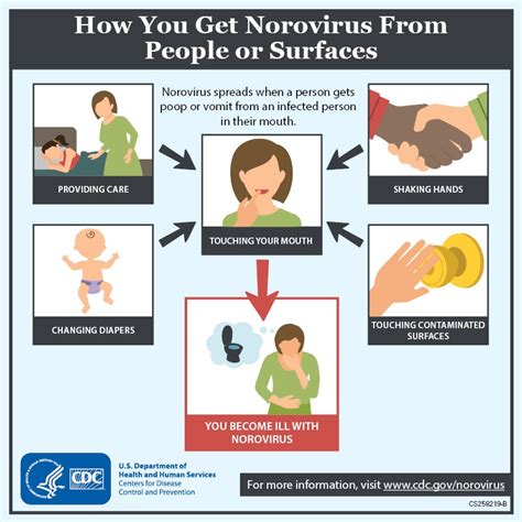 norovirus outbreak