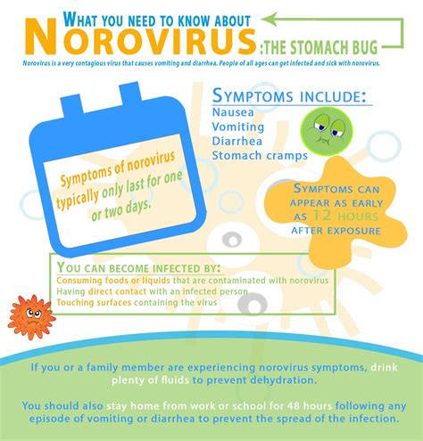 norovirus symptoms incubation period